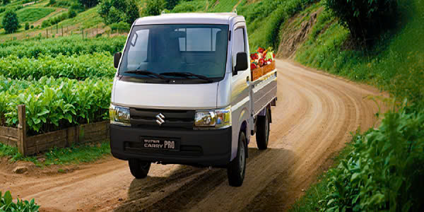 suzuki-carry-pro